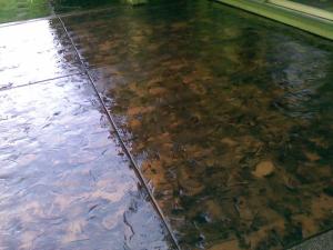 stamped patio